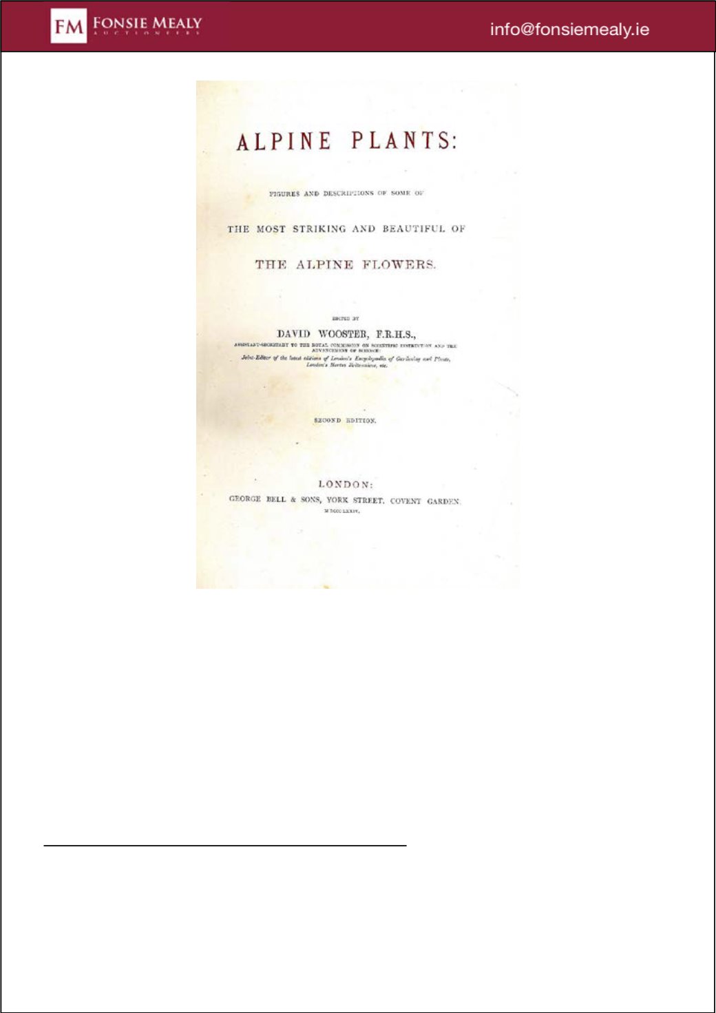 Page Background